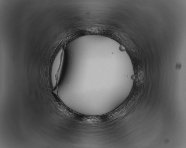 X0000098030466200804251419