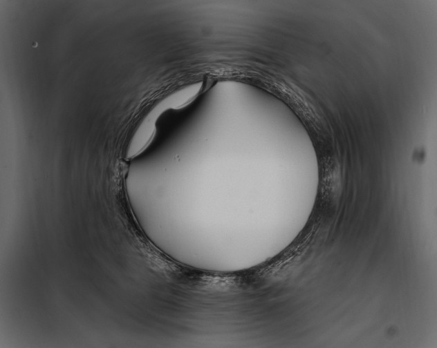 X0000098030469200804251419