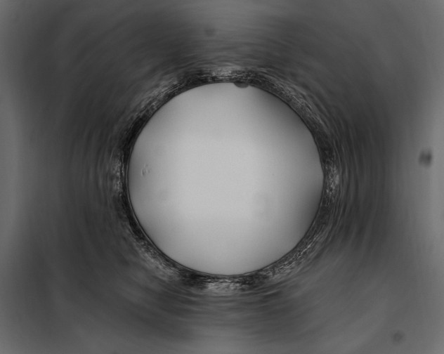 X0000098030470200804251419