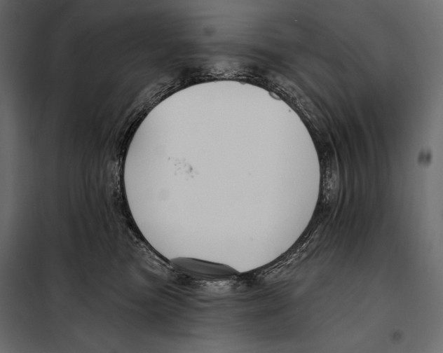 X0000098030473200804251419