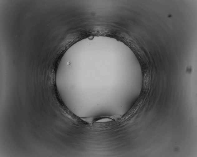 X0000098030474200804251419