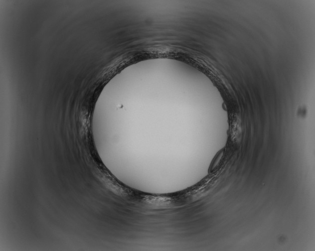 X0000098030476200804251419