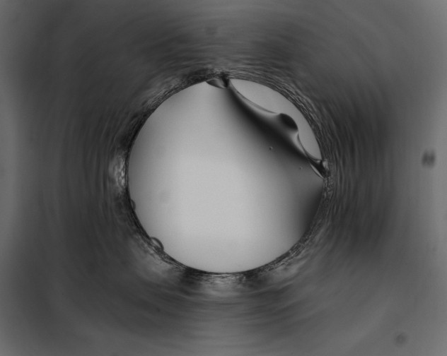 X0000098030479200804251419