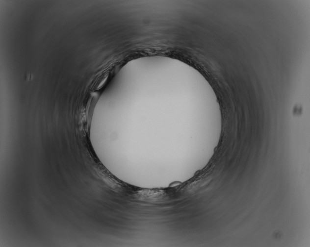 X0000098030480200804251419