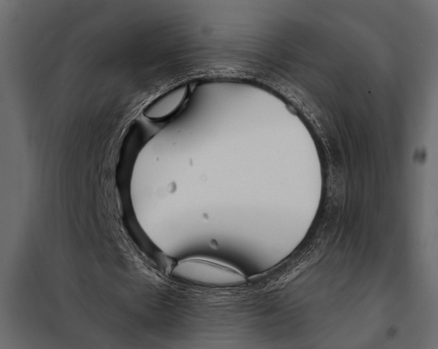 X0000098030481200804251418