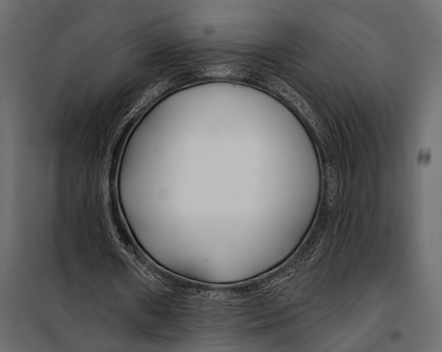 X0000098030482200804251418