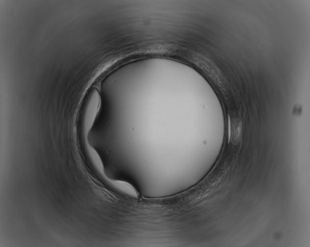 X0000098030483200804251418