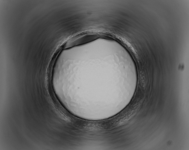 X0000098030487200804251418