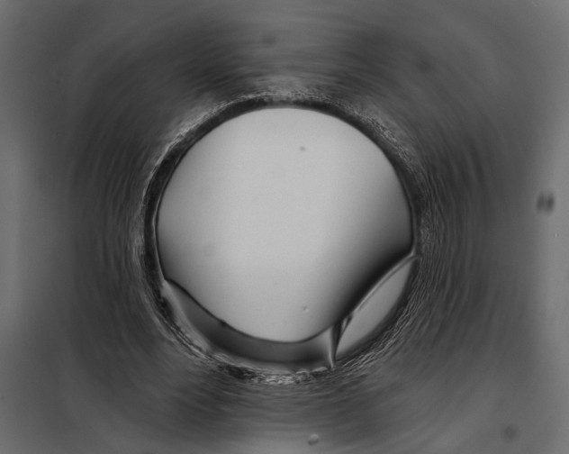 X0000098030488200804251418