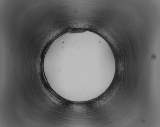 X0000098030490200804251418