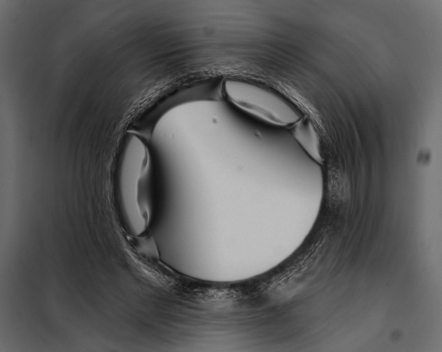 X0000098030493200804251418