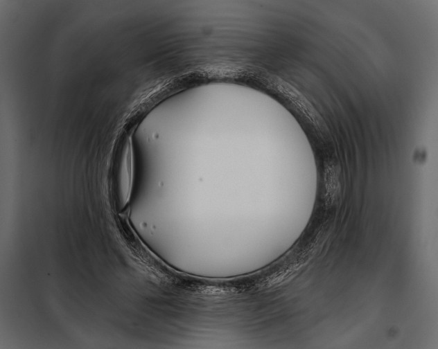 X0000098030494200804251418