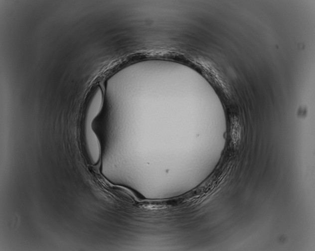 X0000098030495200804251418