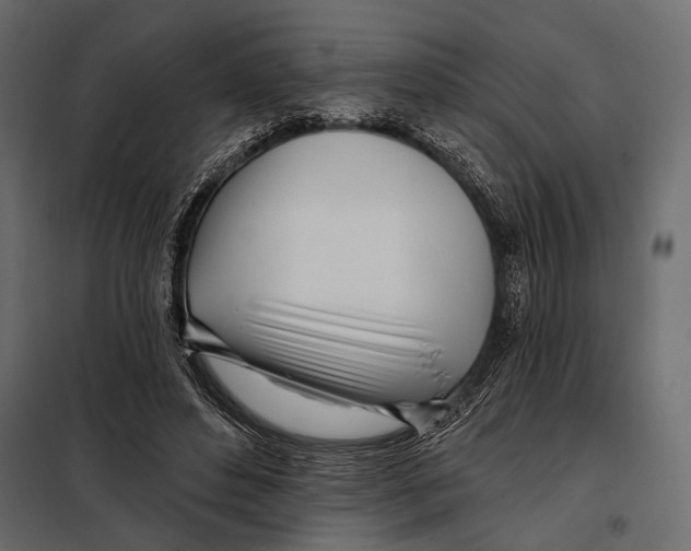 X0000098030496200804251418