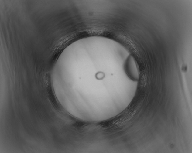 X0000098030498200804251418