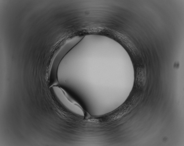 X0000098030501200804251418