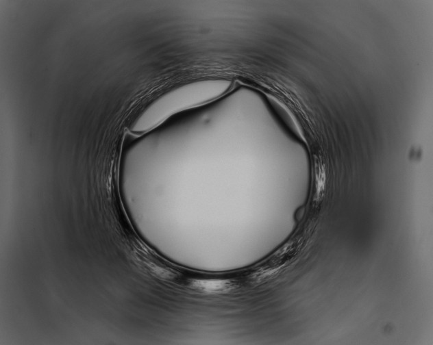 X0000098030503200804251418