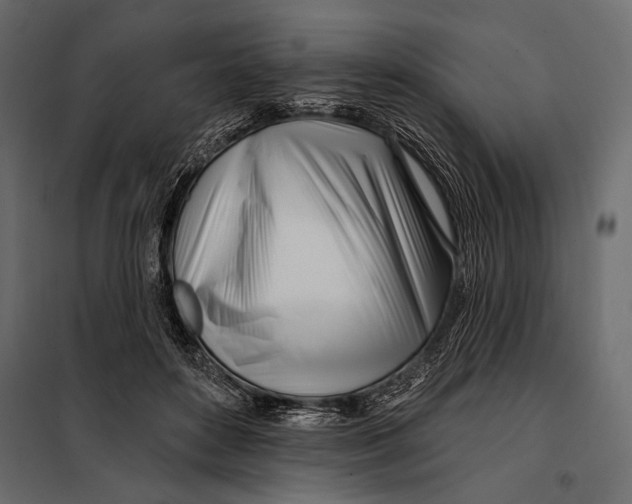 X0000098030504200804251418