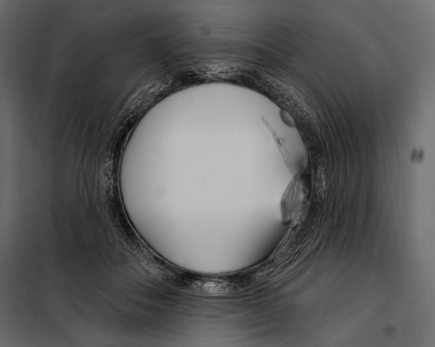 X0000098030506200804251418