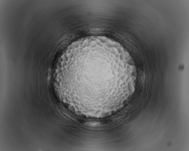 X0000098030507200804251418