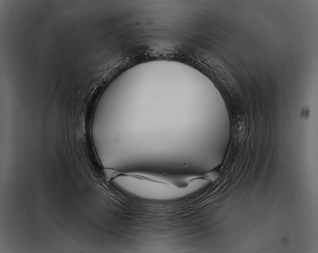 X0000098030508200804251418