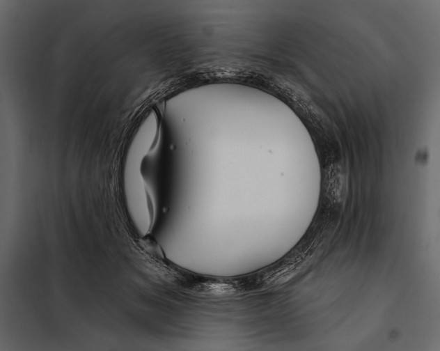 X0000098030509200804251418