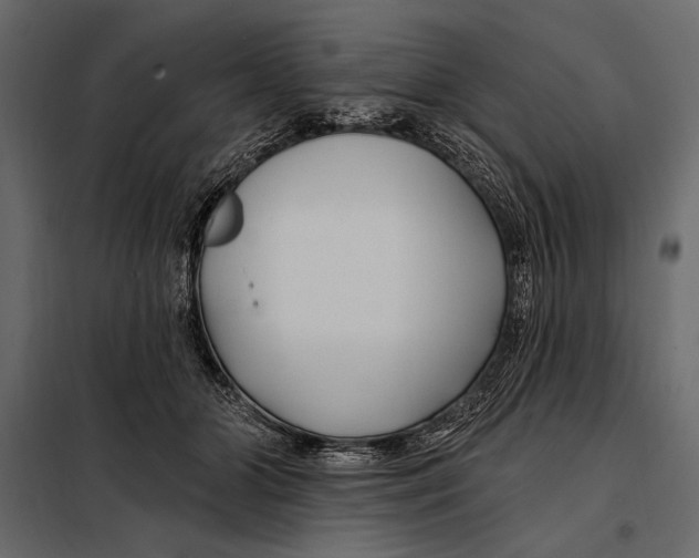 X0000098030510200804251418