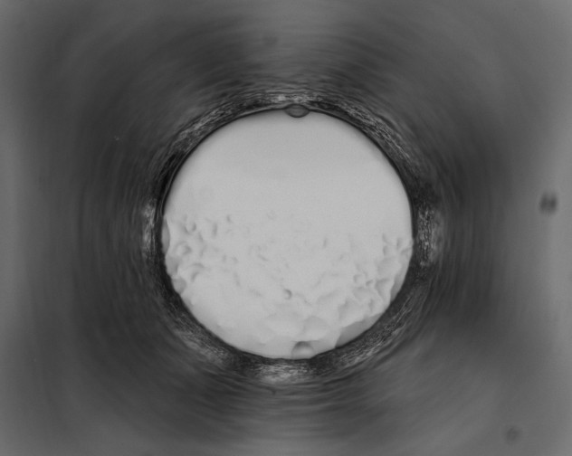 X0000098030511200804251418