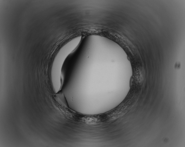 X0000098030512200804251418