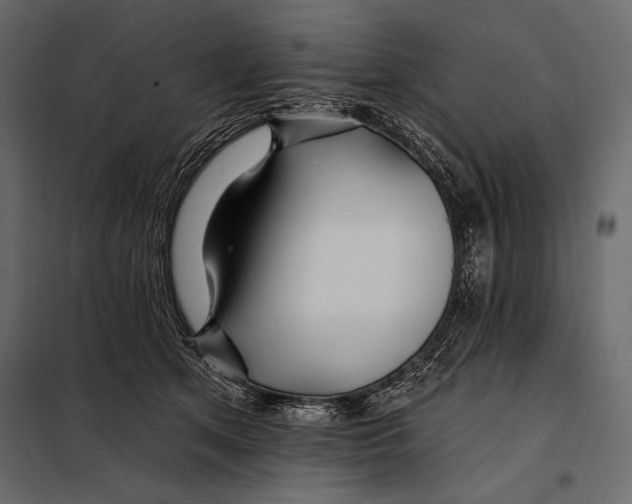 X0000098030513200804251418