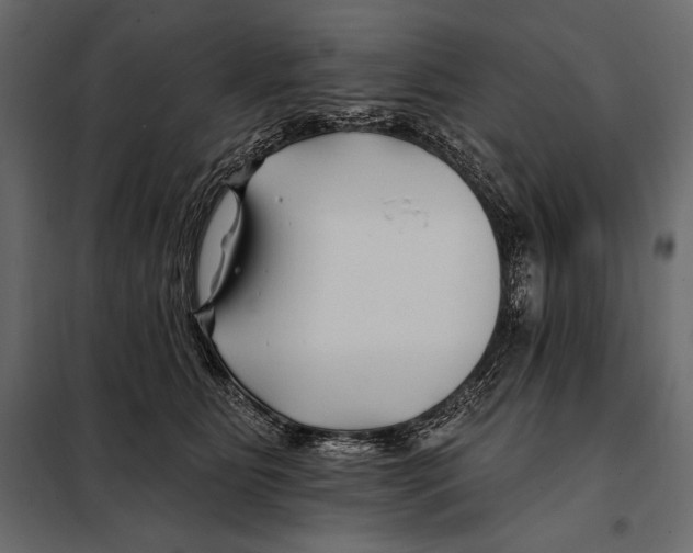 X0000098030515200804251418