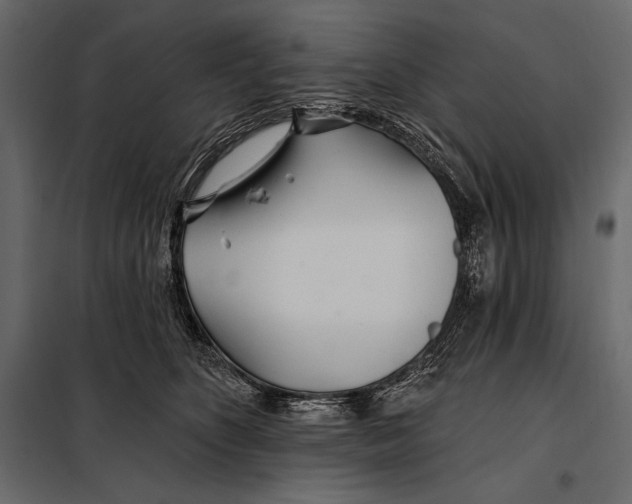 X0000098030516200804251418