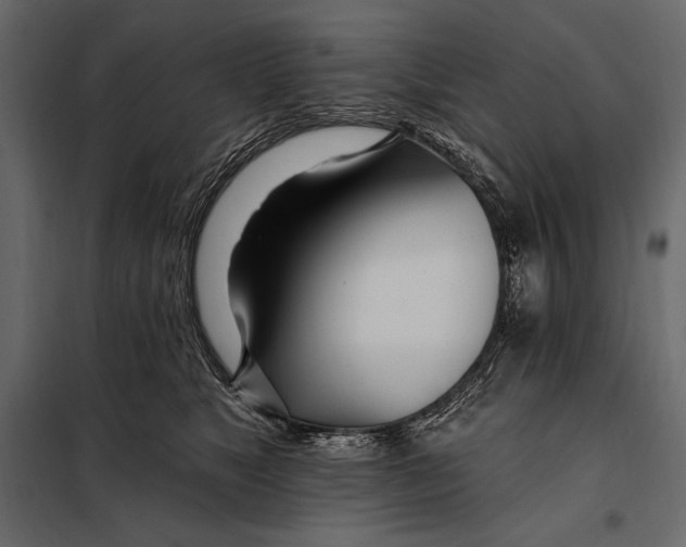 X0000098030517200804251418