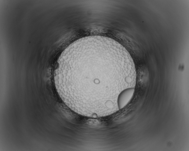 X0000098030519200804251418