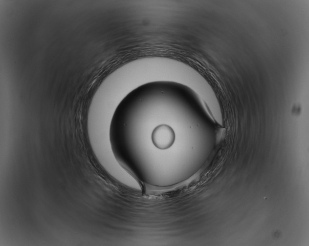 X0000098030520200804251418