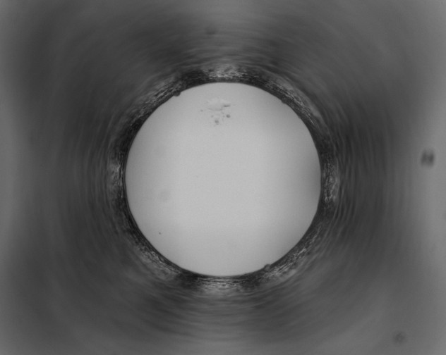 X0000098030521200804251418