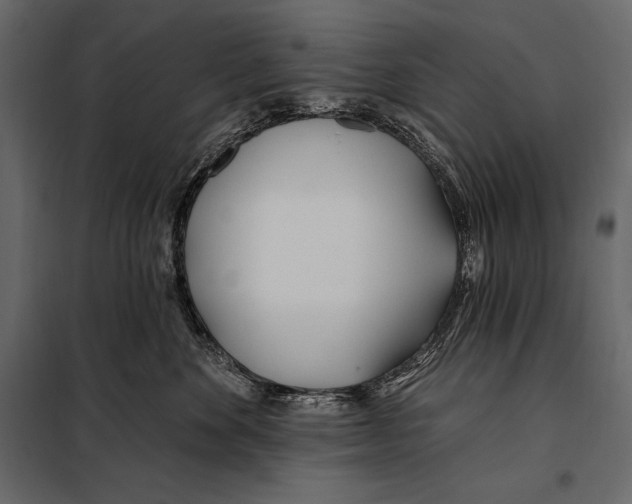 X0000098030524200804251418