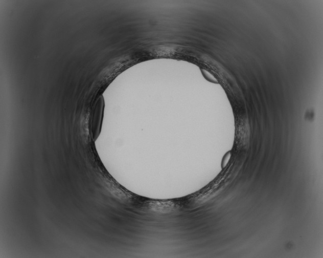 X0000098030525200804251418