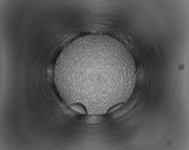 X0000098030527200804251418