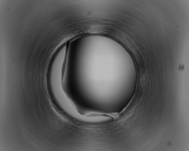 X0000098030530200804251417