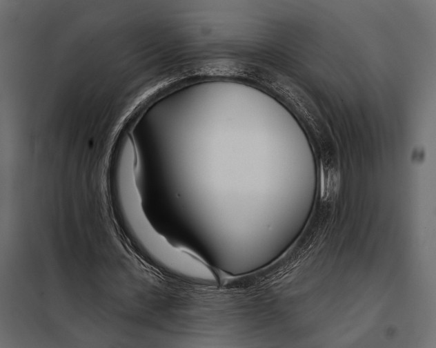 X0000098030531200804251417