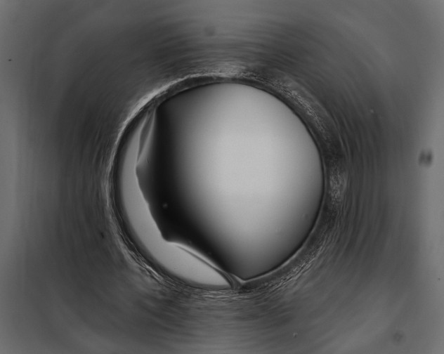 X0000098030532200804251417