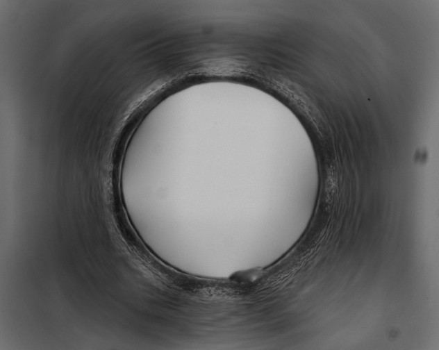 X0000098030535200804251417