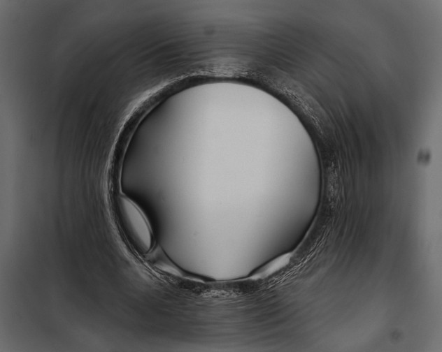 X0000098030536200804251417