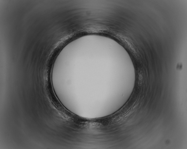 X0000098030539200804251417