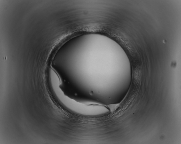 X0000098030540200804251417