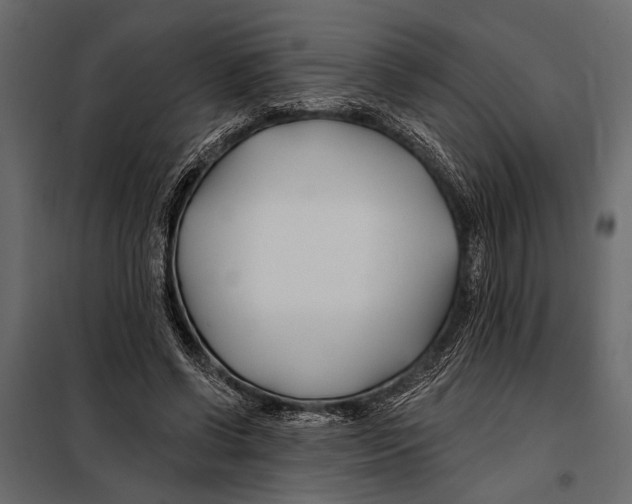 X0000098030542200804251417