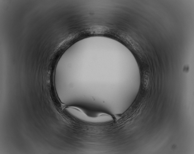 X0000098030543200804251417