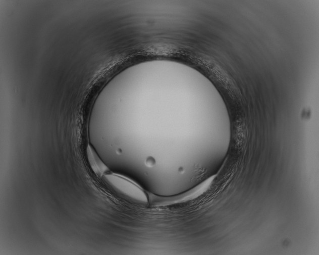 X0000098030544200804251417