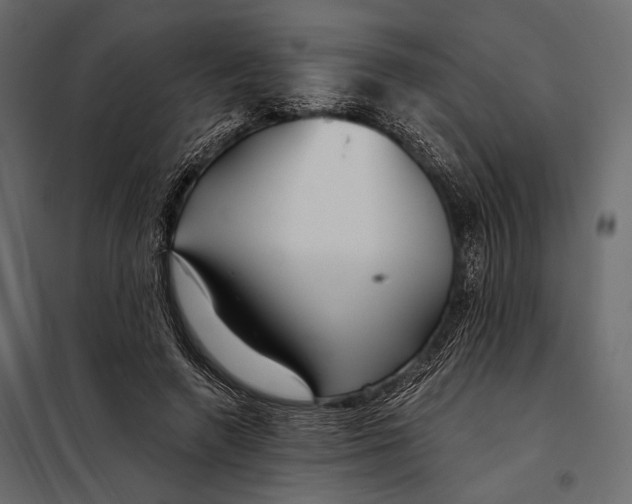 X0000098030546200804251417